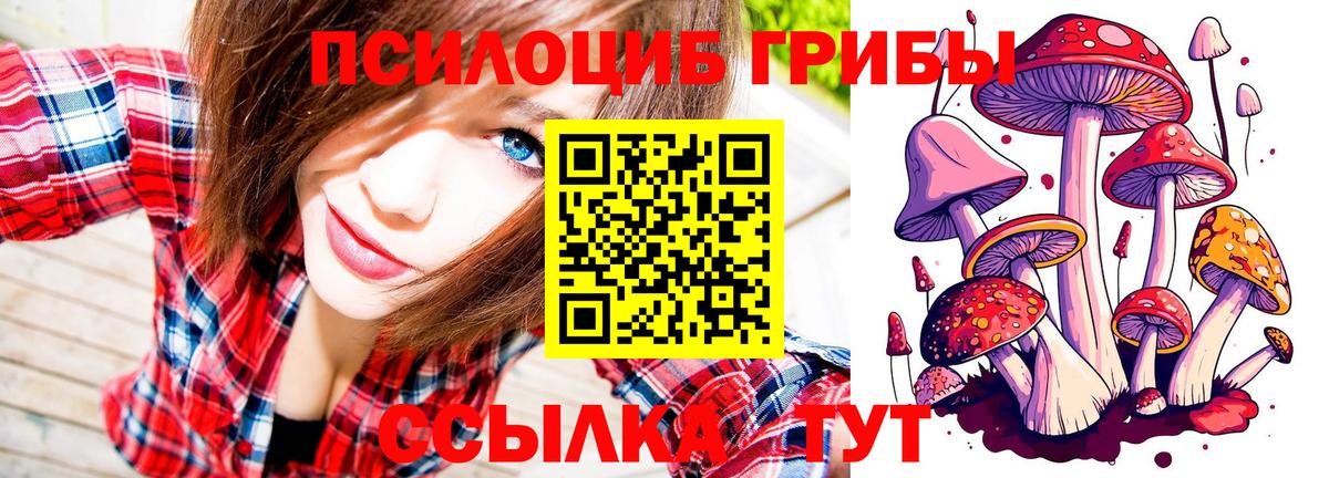 Галлюциногенные грибы ЛСД Чусовой